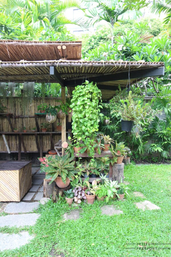 PATOM ORGANIC LIVING BANGKOK - Petite Passport