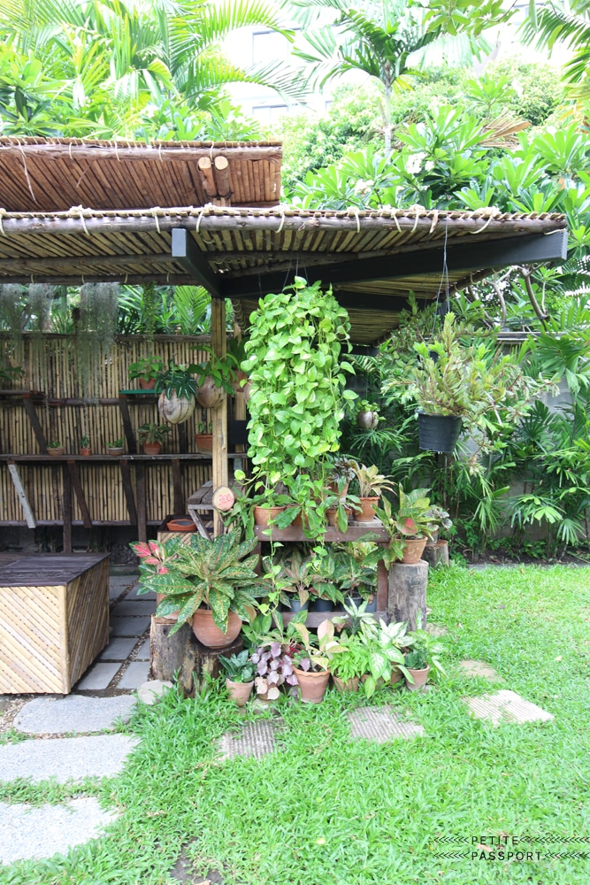 Patom Organic Living Bangkok - Petite Passport